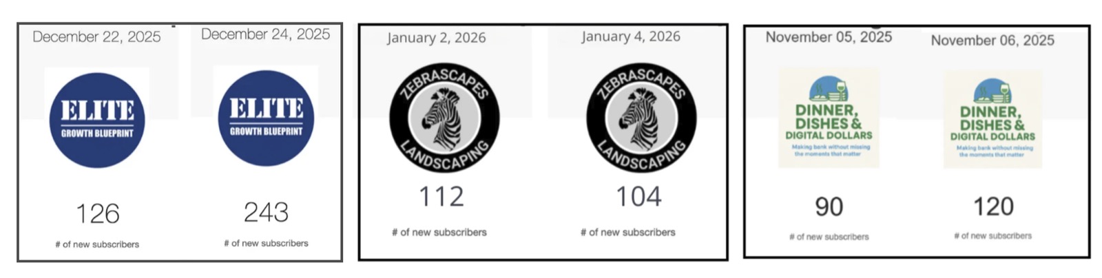Daily new subscriber counts for three member newsletters: 126 and 243, 112 and 104, 90 and 120